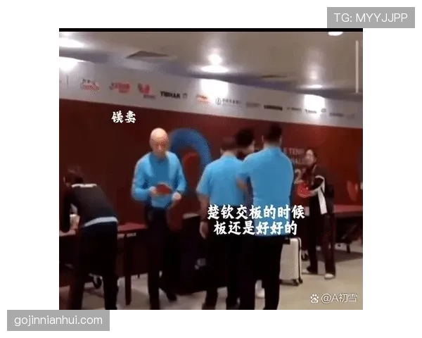 观众干扰比赛时裁判如何判罚规则全解析